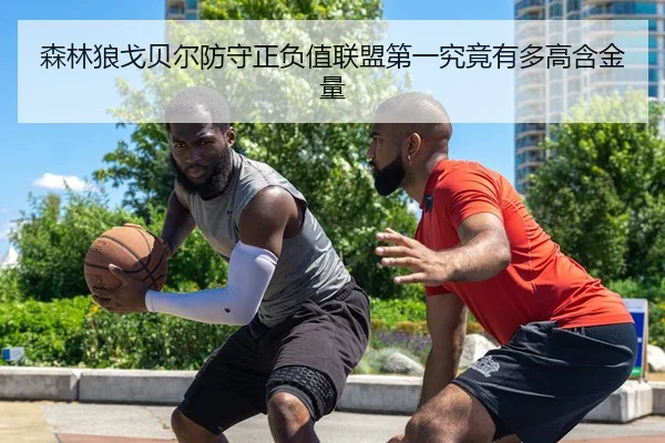 森林狼戈贝尔防守正负值联盟第一究竟有多高含金量 | kaiyun