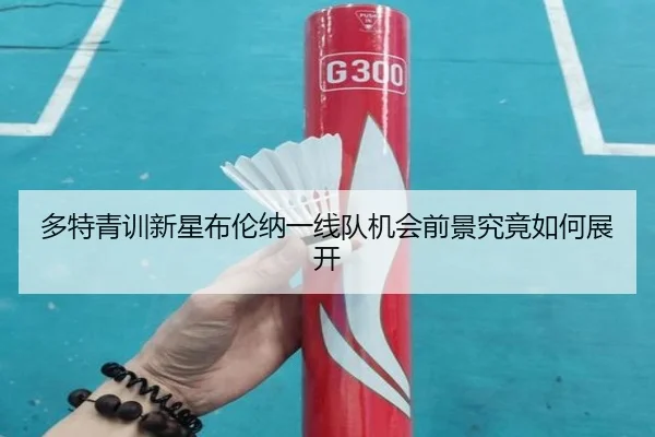 多特青训新星布伦纳一线队机会前景究竟如何展开 | kaiyun