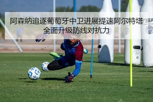 阿森纳追逐葡萄牙中卫进展提速阿尔特塔全面升级防线对抗力 | kaiyun